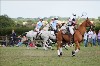 UKPA  NC Sat_1309
